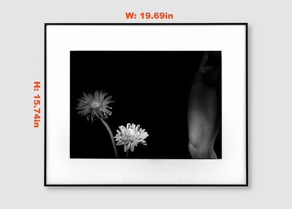 流淌的花 | Flowers In The Flowing：圖片 2