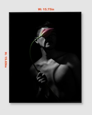 黑暗蓮花 | Dark Lotus