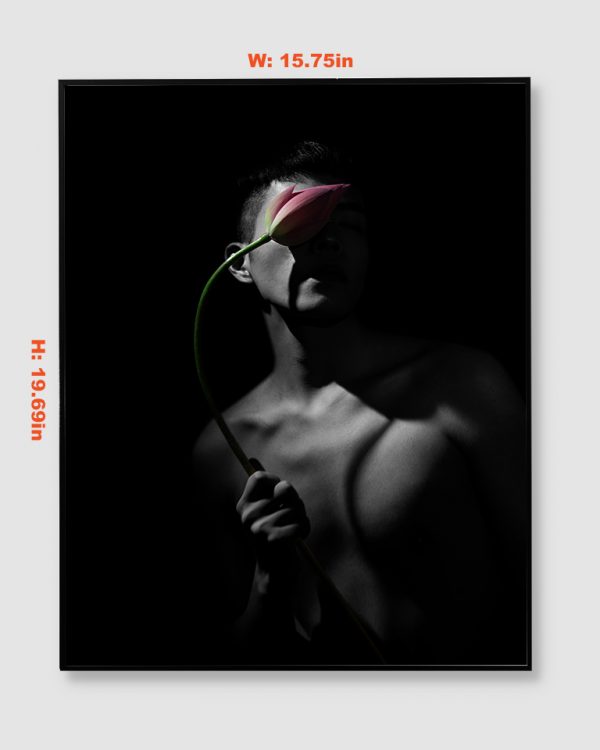 黑暗蓮花 | Dark Lotus：圖片 2