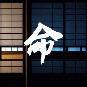 論命 | DESTINY